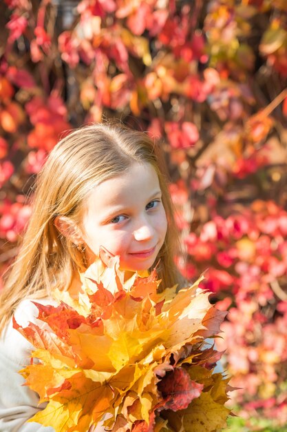 Gracinha com folhas de outono no parque de beleza. loira de cabelos compridos com um suéter bege em um parque de outono com um buquê de folhas amarelas.