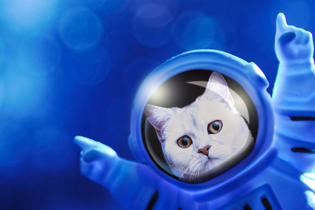 Gracioso gato astronauta en un traje espacial Concepto de fondo espacial del futuro