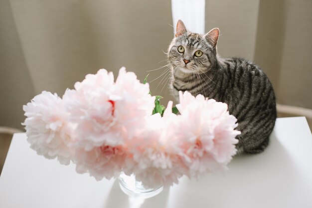 Gracioso gato y jarra con flores sobre una mesa en la sala de luz