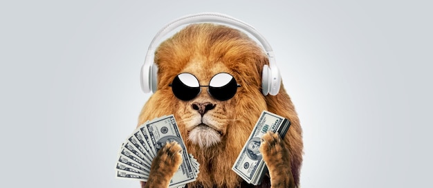El gracioso jefe león hipster con gafas de sol de moda y auriculares sostiene dinero dólares en sus patas sobre un fondo gris éxito y negocio idea creativa líder ganador concepto de gerente