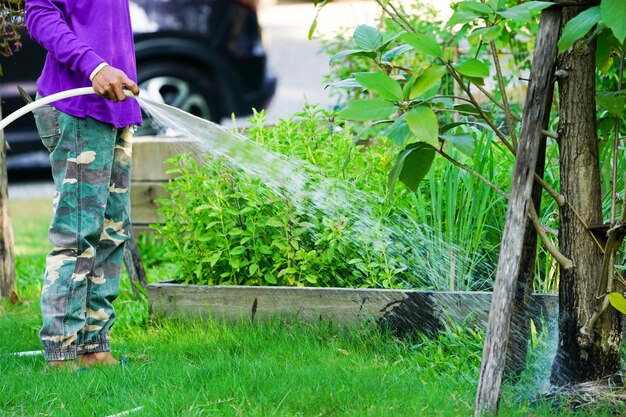 Graden Arbeiter kümmert sich um die Pflanze im Garten.