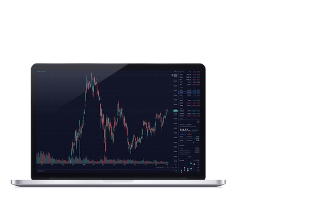 Gráfico de la bolsa financiera en la pantalla del ordenador sobre fondo blanco. Bolsa.