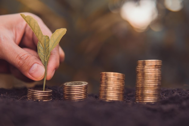 Foto gráfico de crecimiento de monedas de dinero con planta sobre fondo de madera concepto de dinero de ahorro de luz solar brillante