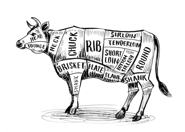 Foto gráfico de açougueiros de vacas. desenho de tinta preto e branco