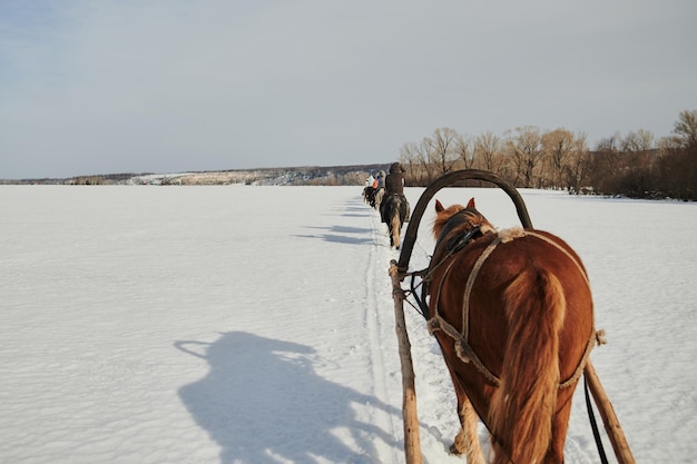 gráfico de cavalo com paisagem cênica de inverno dos povos