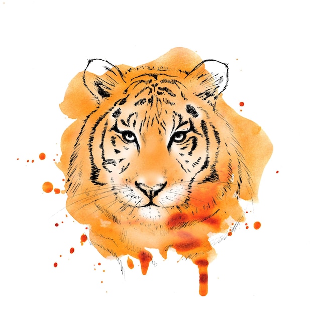 Foto grafisches bild eines tigers mit einem aquarellfleck auf weißem hintergrund