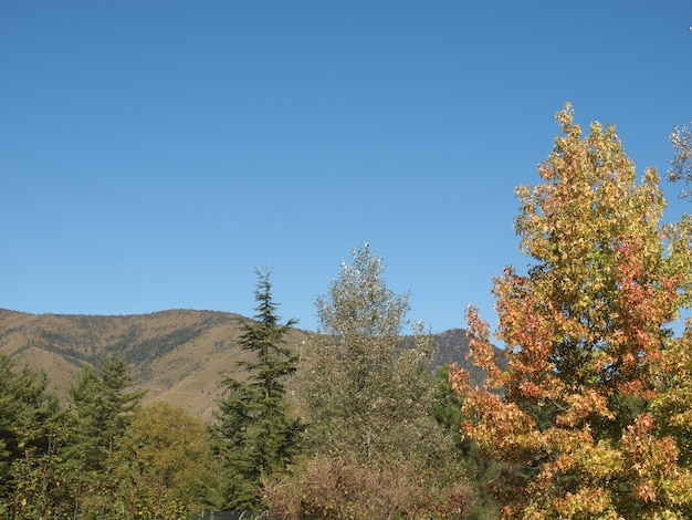 Grajische Alpen, Italien