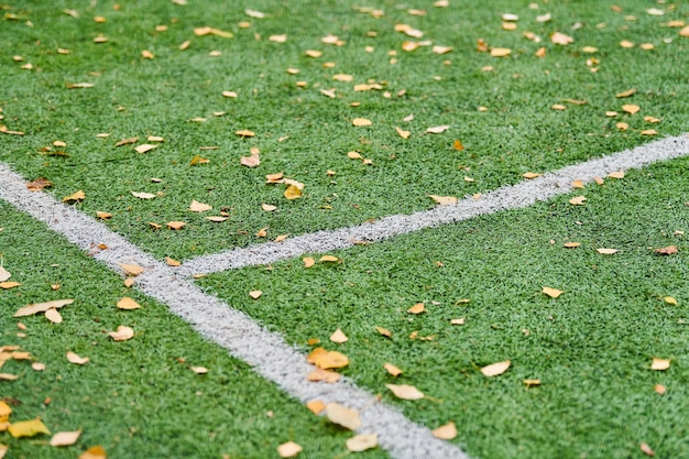 Grama artificial em campo esportivo com folhas