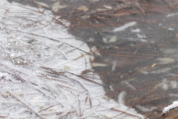 Grama congelada em um lago. Padrões de inverno superfície congelada do lago