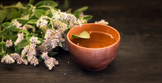 Grama de hortelã florescendo com uma xícara de chá em uma mesa escura.