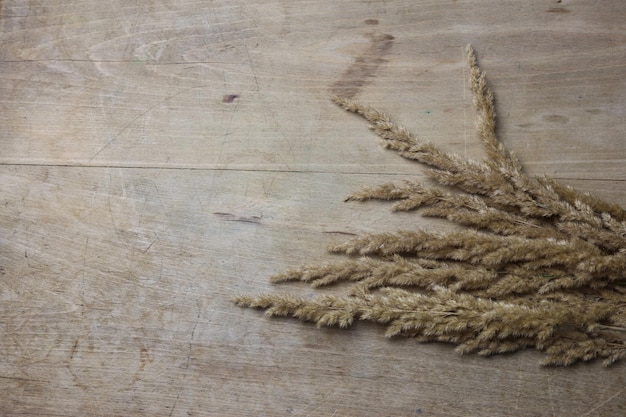 grama decorativa seca em uma mesa de madeira