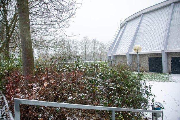 Grama e arbustos no inverno com muita neve branca