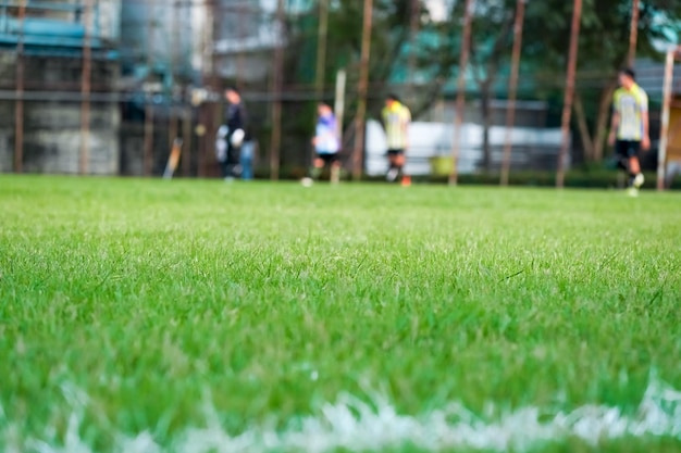 Grama no campo de futebol