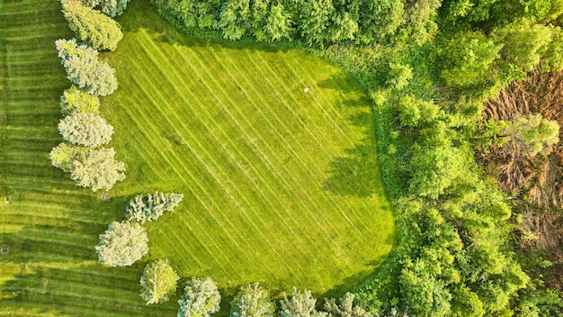 Grama recém-cortada com linhas horizontais paisagismo e floresta qualidade do campo de golfe