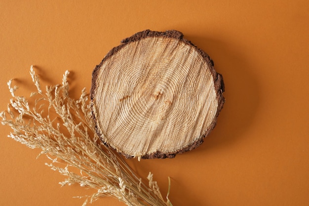 Grama seca e um corte de serra redonda de um pódio de árvore em um fundo marrom, plano de fundo para um produto de ingredientes naturais cópia espaço vista superior mock up