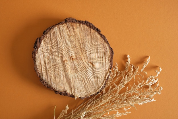 Grama seca e um corte de serra redonda de um pódio de árvore em um fundo marrom, plano de fundo para um produto de ingredientes naturais