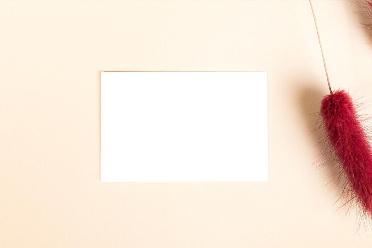 Foto grama secada com cauda de coelho com cartão transparente png