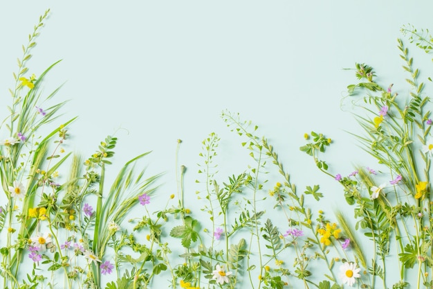 Grama selvagem e flores sobre fundo de papel verde