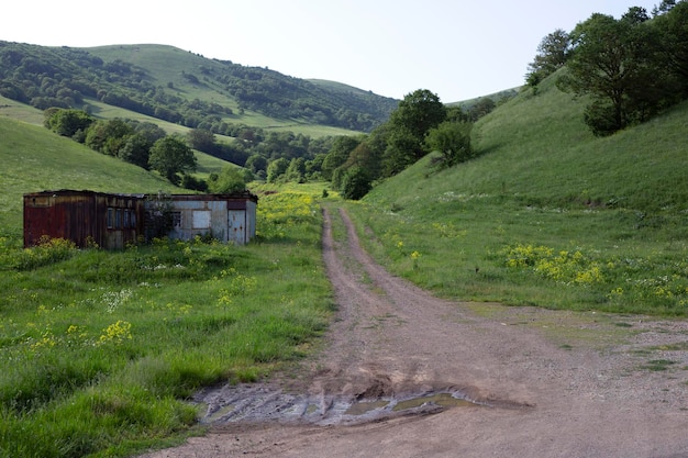 grama verde com estrada na montanha