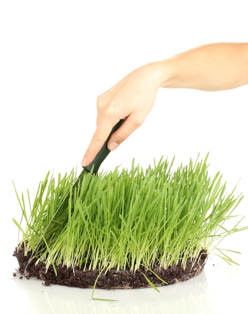 Grama verde com solo como conceito de venda de terra isolada em branco