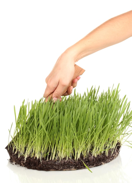 Grama verde com solo como conceito de venda de terra isolada em branco