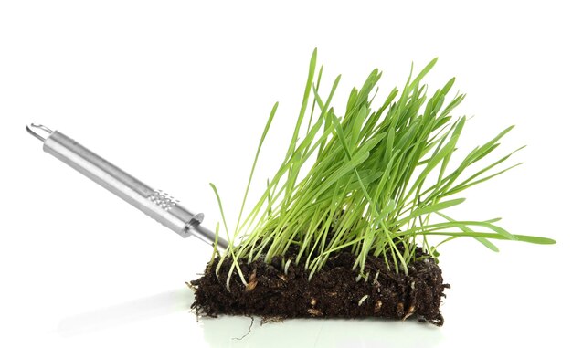 Grama verde com terra em remos isolados em branco