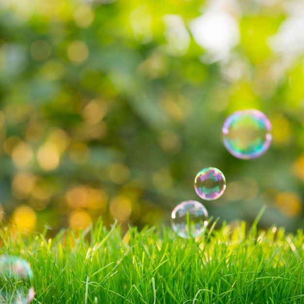 Grama verde contra o fundo desfocado da primavera