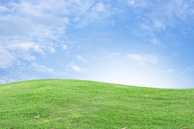 grama verde e fundo de céu azul