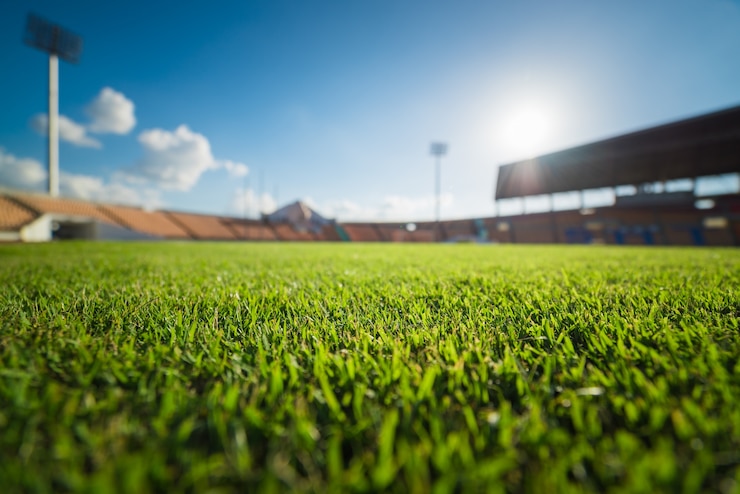 Foto grama verde, em, estádio futebol