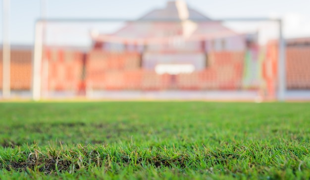 Grama verde, em, estádio futebol