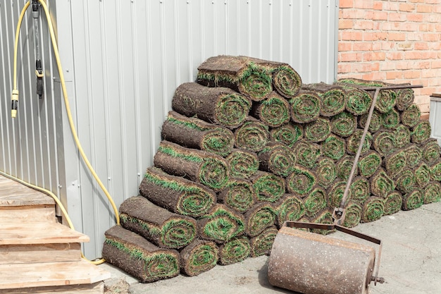 Grama verde enrolada em um quintal com rolo como solo