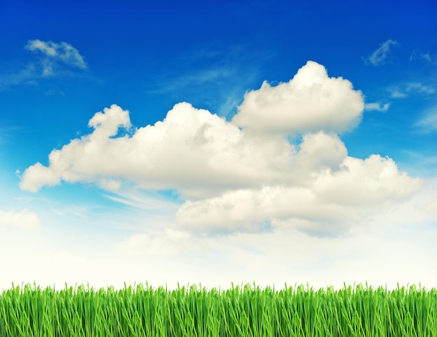 Grama verde fresca com gotas de água e céu azul nublado Fundo da natureza da primavera Imagem em tons de estilo vintage