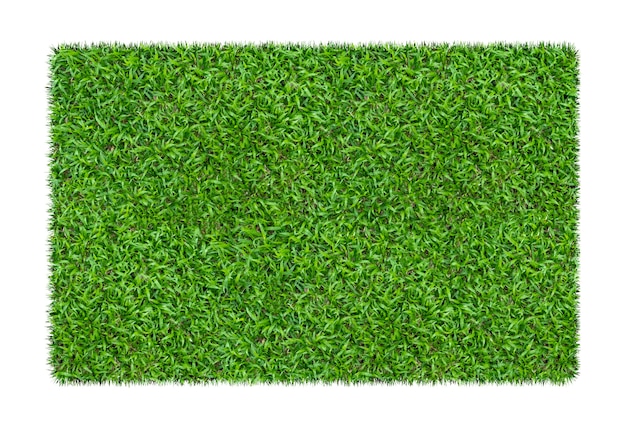 Foto grama verde. fundo de textura natural. grama verde fresca primavera. isolado no fundo branco