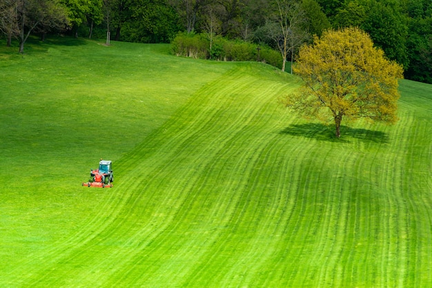 Grama verde, ligado, um, campo golfe