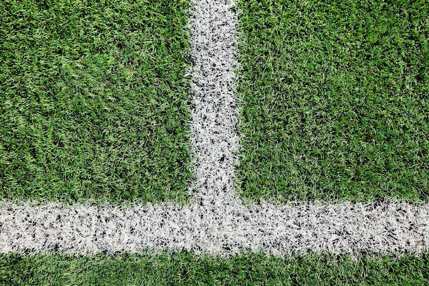 Grama verde no campo esportivo com linha branca