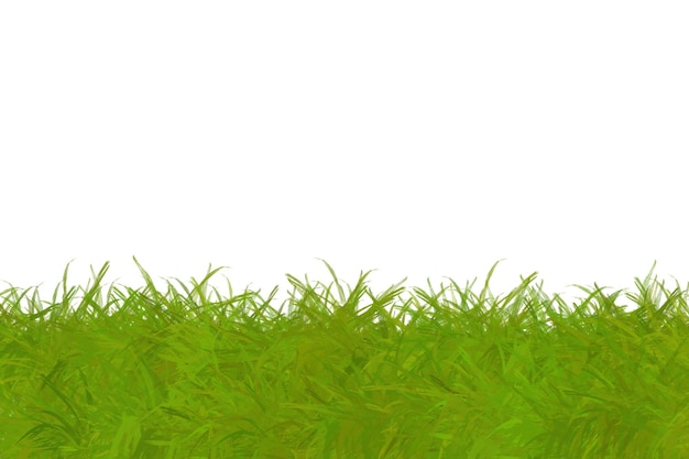Foto grama verde no chão com fundo branco ilustração