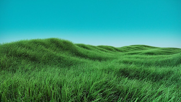 Grama verde Textura com fundo azul-céu e grama do solo com fundo isolado