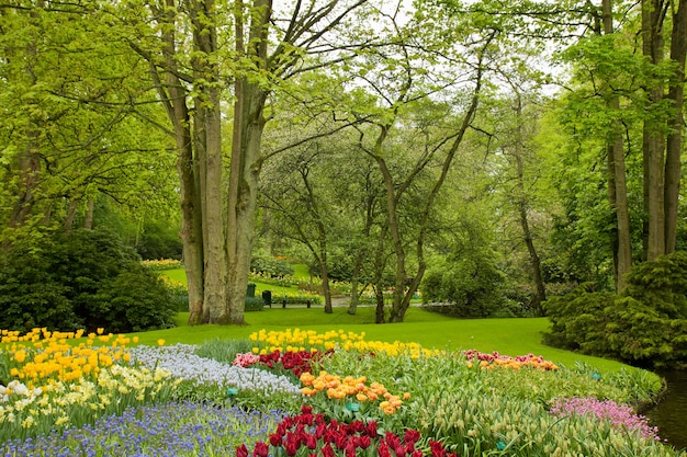 Gramado colorido da primavera no jardim holandês 'Keukenhof', Holanda