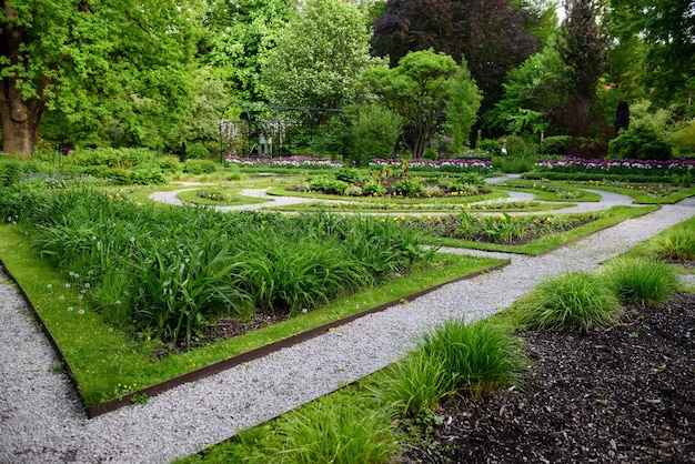 Gramado com plantas e flores