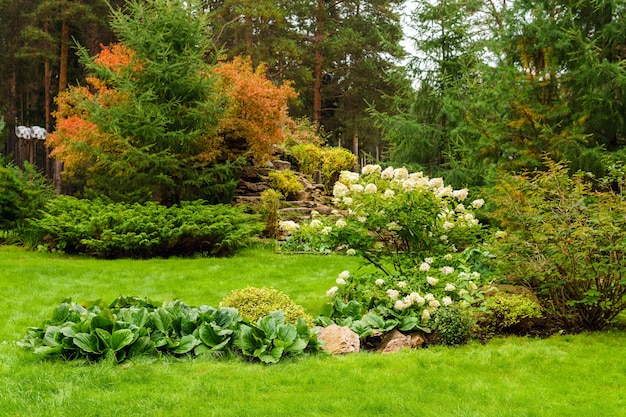 Gramado no parque com paisagismo de várias plantas ornamentais, flores e rochas artificiais