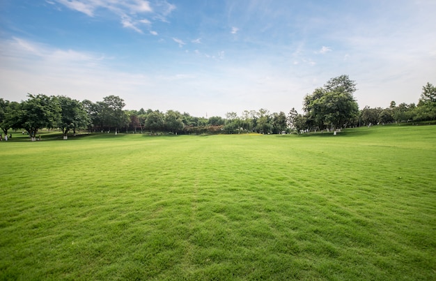 Foto gramado verde no parque público urbano