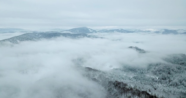 Desde gran altura paisaje de montaña de cuento de hadas cubierto de nieve picos alpinos afilados Invierno salvaje en las montañas de los Cárpatos Ucrania Nubes blancas gruesas Espacio abierto Antena 4K