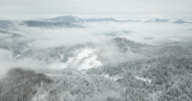 Desde gran altura paisaje de montaña de cuento de hadas cubierto de nieve picos alpinos afilados Invierno salvaje en las montañas de los Cárpatos Ucrania Nubes blancas gruesas Espacio abierto Antena 4K