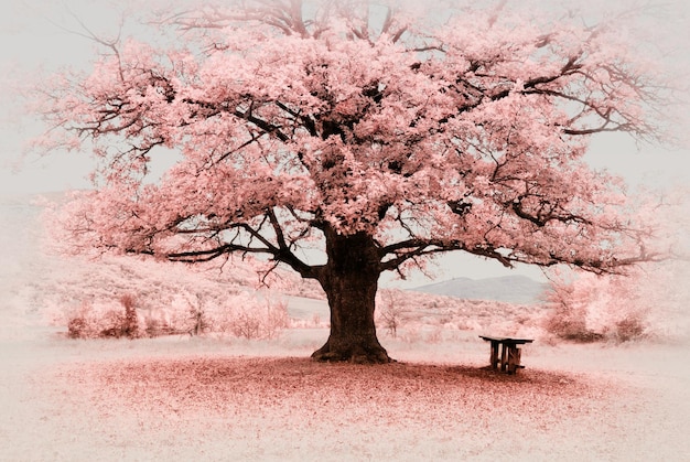 Gran árbol de infrarrojos. Composición de la naturaleza.