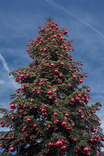 Gran árbol de Navidad sobre fondo de cielo azul