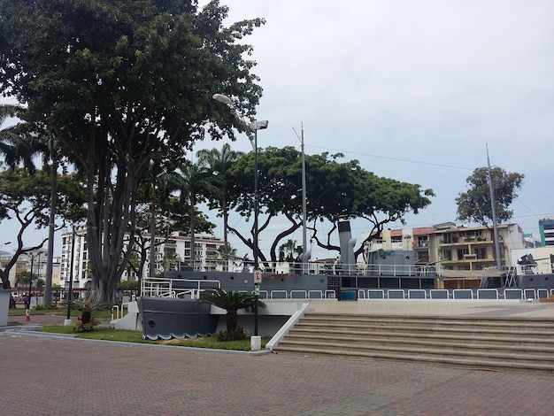 Un gran árbol en el Parque Seminario Iguanas Park y la Catedral Metropolitana de Guayaquil