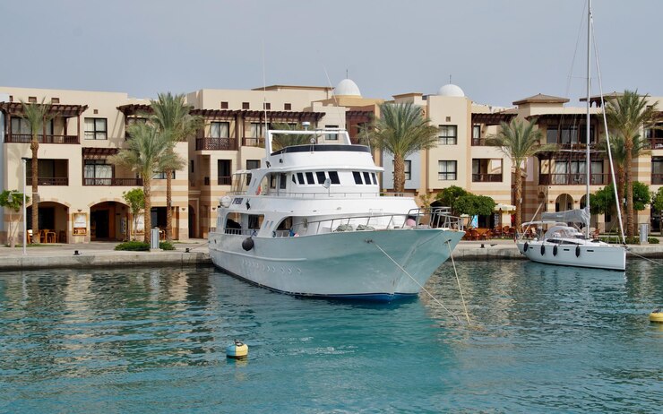 un gran barco blanco está atracado en un puerto
