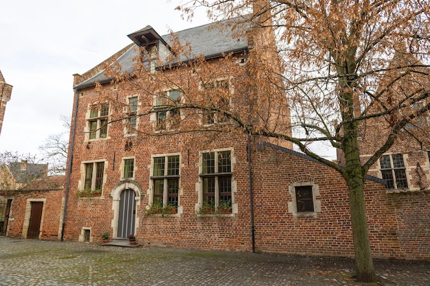 Foto el gran beaterio de lovaina conocido como groot begijnhof en bélgica