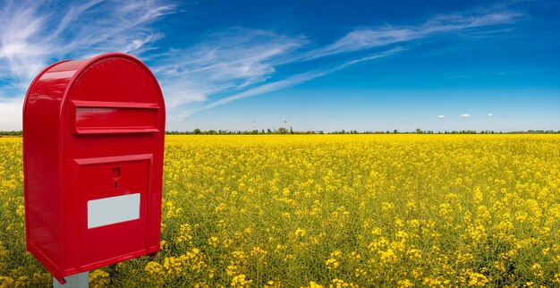 Foto gran caja de correos roja elegante con blanco espacio de nota vacía para la dirección está de pie al aire libre en frente de la hermosa paisaje rural campo de granja con flores de raps amarillas y cielo azul