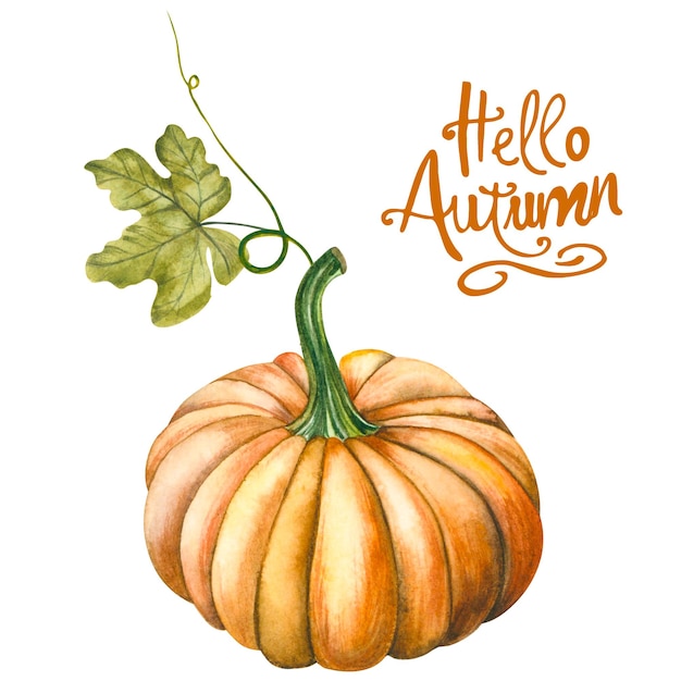 Gran calabaza de acuarela naranja con flores y hojas Ilustración aislada sobre fondo blanco